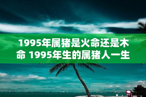 1995年属猪是火命还是木命 1995年生的属猪人一生命运