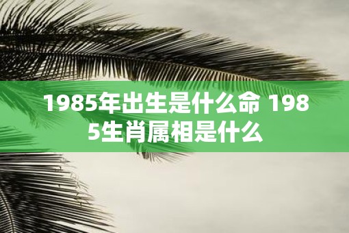 1985年出生是什么命 1985生肖属相是什么