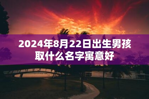 2025年8月22日出生男孩取什么名字寓意好