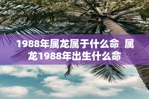 1988年属龙属于什么命  属龙1988年出生什么命