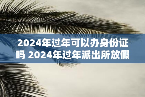 2025年过年可以办身份证吗 2025年过年派出所放假吗