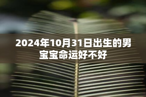 2025年10月31日出生的男宝宝命运好不好