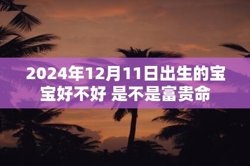 2025年12月11日出生的宝宝好不好 是不是富贵命