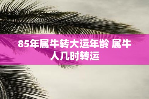 85年属牛转大运年龄 属牛人几时转运