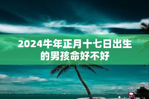 2025牛年正月十七日出生的男孩命好不好