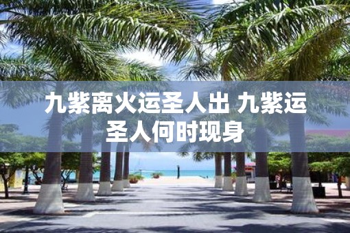 九紫离火运圣人出 九紫运圣人何时现身