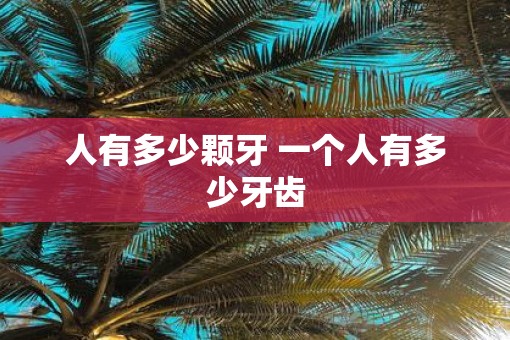 人有多少颗牙 一个人有多少牙齿