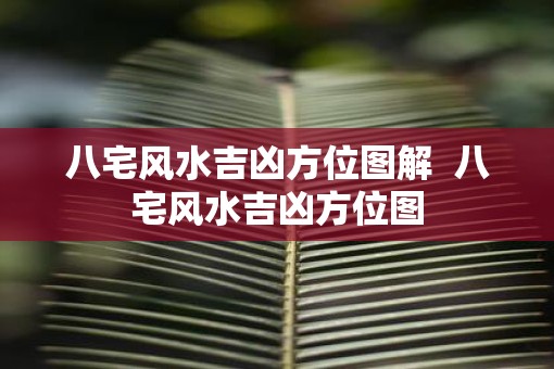 八宅风水吉凶方位图解  八宅风水吉凶方位图