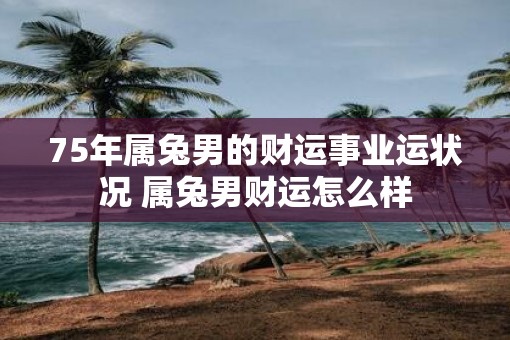 75年属兔男的财运事业运状况 属兔男财运怎么样