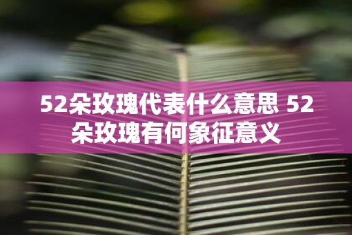 52朵玫瑰代表什么意思 52朵玫瑰有何象征意义