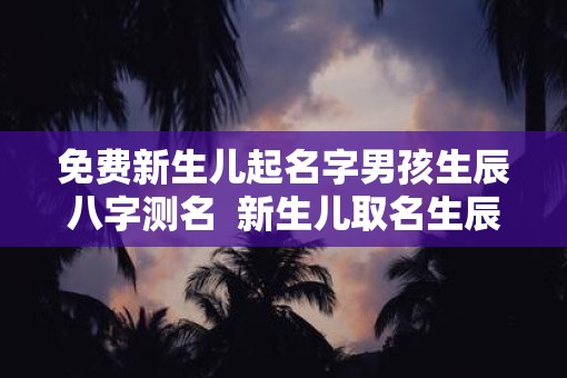 免费新生儿起名字男孩生辰八字测名  新生儿取名生辰八字算命