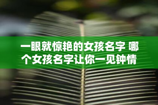 一眼就惊艳的女孩名字 哪个女孩名字让你一见钟情