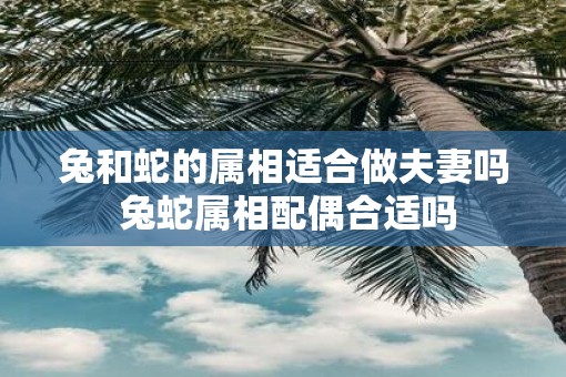 兔和蛇的属相适合做夫妻吗 兔蛇属相配偶合适吗