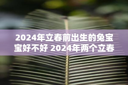 2025年立春前出生的兔宝宝好不好 2025年两个立春时间