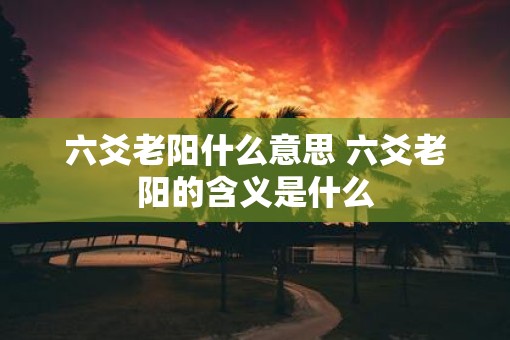 六爻老阳什么意思 六爻老阳的含义是什么