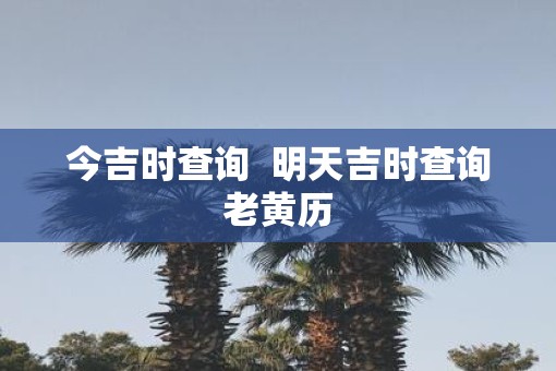 今吉时查询  明天吉时查询老黄历