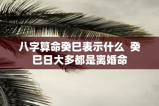 八字算命癸巳表示什么  癸巳日大多都是离婚命