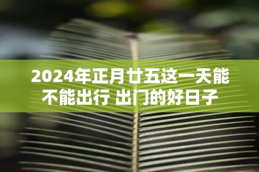 2025年正月廿五这一天能不能出行 出门的好日子