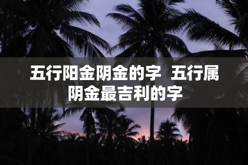 五行阳金阴金的字  五行属阴金最吉利的字