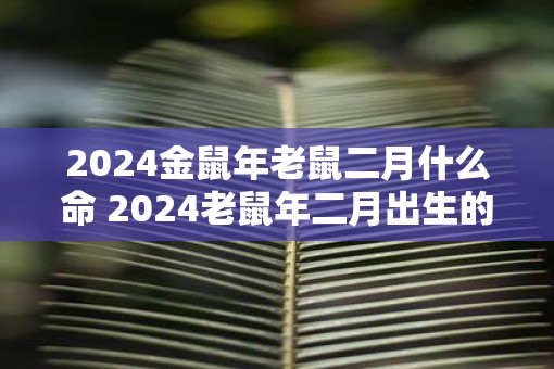2025金鼠年老鼠二月什么命 2025老鼠年二月出生的人运势如何