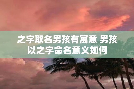 之字取名男孩有寓意 男孩以之字命名意义如何 之字取名男孩有寓意 男孩以之字命名意义如何
