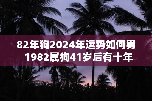 82年狗2025年运势如何男  1982属狗41岁后有十年大运