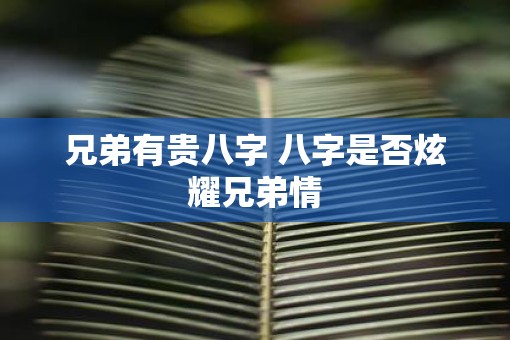 兄弟有贵八字 八字是否炫耀兄弟情