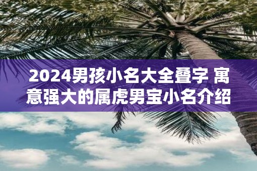 2025男孩小名大全叠字 寓意强大的属虎男宝小名介绍