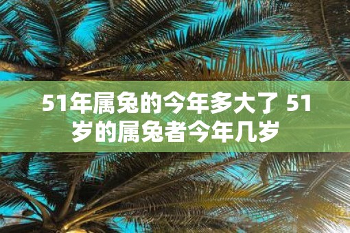 51年属兔的今年多大了 51岁的属兔者今年几岁
