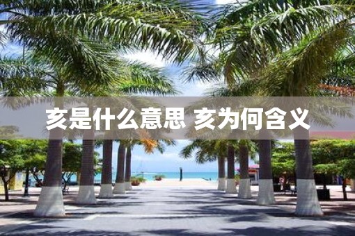 亥是什么意思 亥为何含义