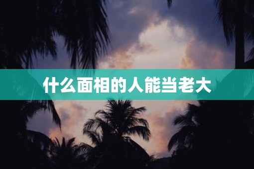 什么面相的人能当老大 什么面相的人能当老大