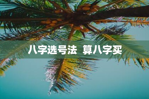 八字选号法  算八字买