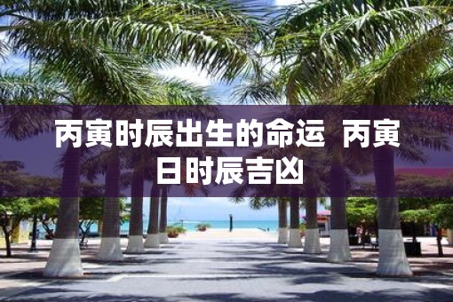 丙寅时辰出生的命运  丙寅日时辰吉凶