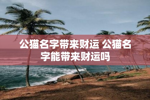 公猫名字带来财运 公猫名字能带来财运吗