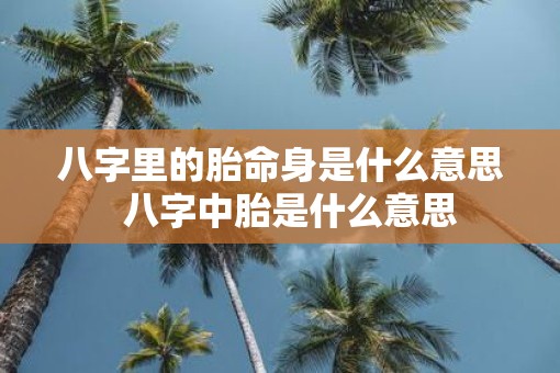 八字里的胎命身是什么意思  八字中胎是什么意思