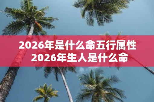 2026年是什么命五行属性  2026年生人是什么命