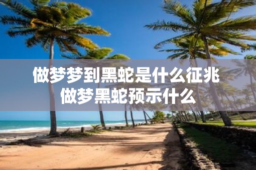 做梦梦到黑蛇是什么征兆 做梦黑蛇预示什么