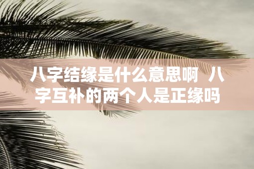 八字结缘是什么意思啊  八字互补的两个人是正缘吗