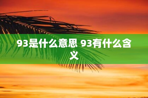 93是什么意思 93有什么含义