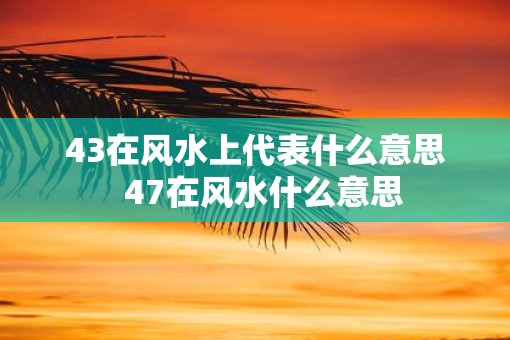 43在风水上代表什么意思  47在风水什么意思