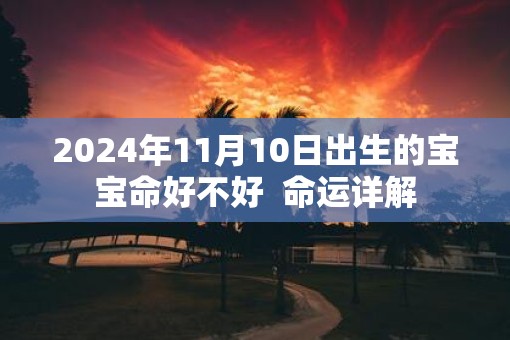 2025年11月10日出生的宝宝命好不好  命运详解