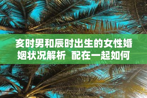 亥时男和辰时出生的女性婚姻状况解析  配在一起如何