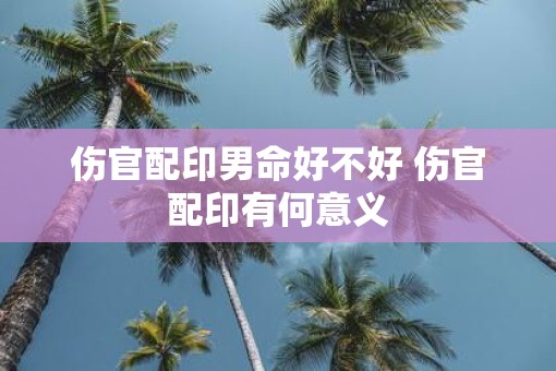 伤官配印男命好不好 伤官配印有何意义
