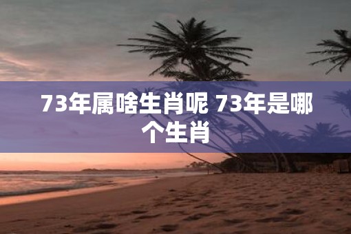 73年属啥生肖呢 73年是哪个生肖