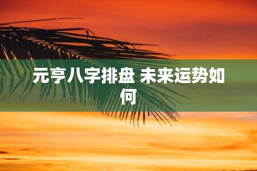 元亨八字排盘 未来运势如何