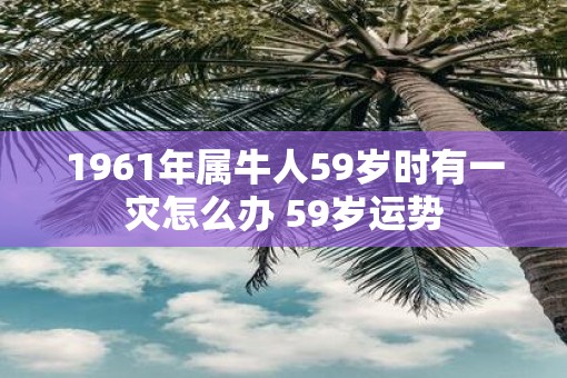 1961年属牛人59岁时有一灾怎么办 59岁运势