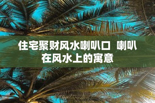住宅聚财风水喇叭口  喇叭在风水上的寓意