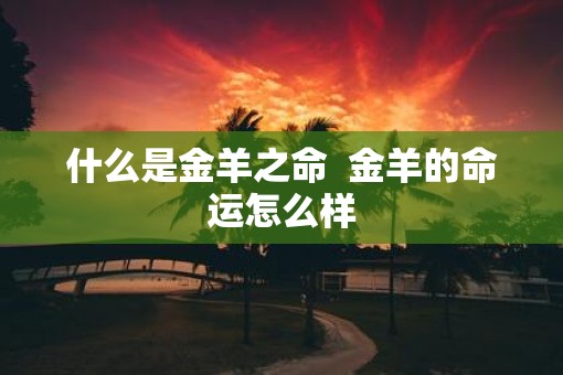 什么是金羊之命  金羊的命运怎么样
