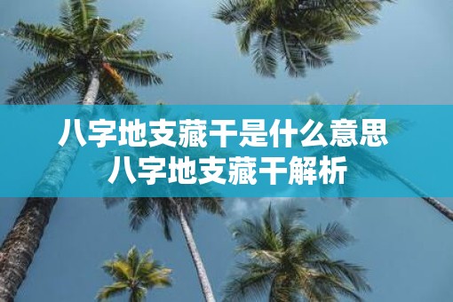 八字地支藏干是什么意思 八字地支藏干解析