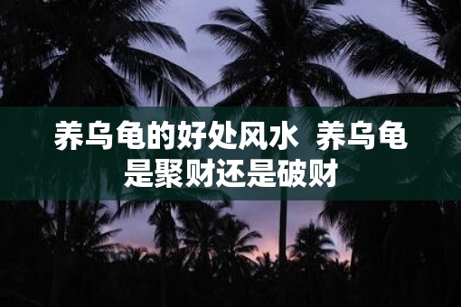 养乌龟的好处风水  养乌龟是聚财还是破财